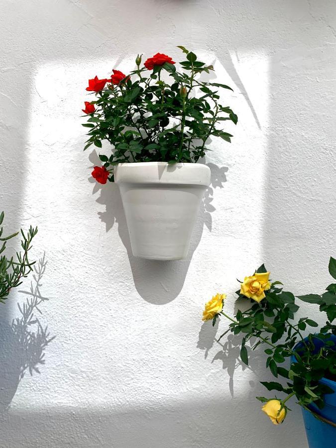 Casa Rural Les Avies Cerca Del Mar La Nucía Exteriér fotografie